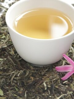 White Tea Extract